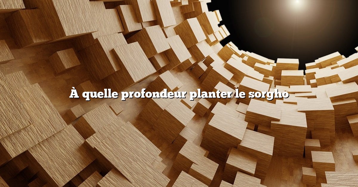 À quelle profondeur planter le sorgho