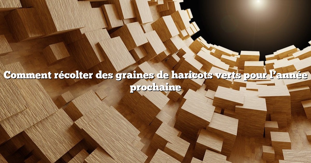 Comment récolter des graines de haricots verts pour l’année prochaine