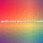 Dans quelle zone poussent les framboises